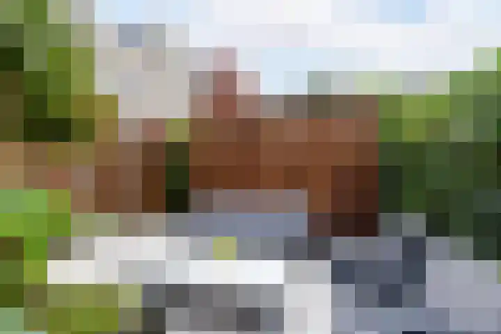 Starstraat 4 Rotterdam thumbnail 15