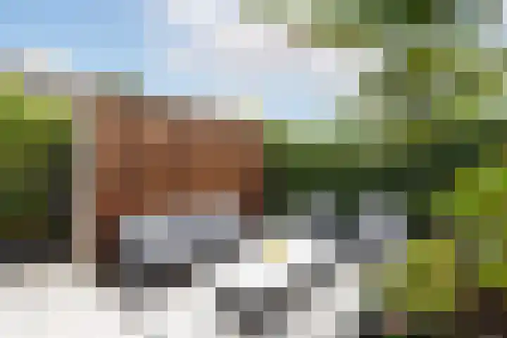 Starstraat 4 Rotterdam thumbnail 16