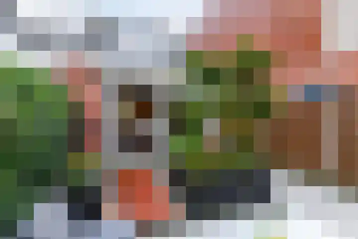 Starstraat 4 Rotterdam thumbnail 18