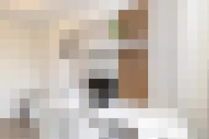 Starstraat 4 Rotterdam thumbnail 25