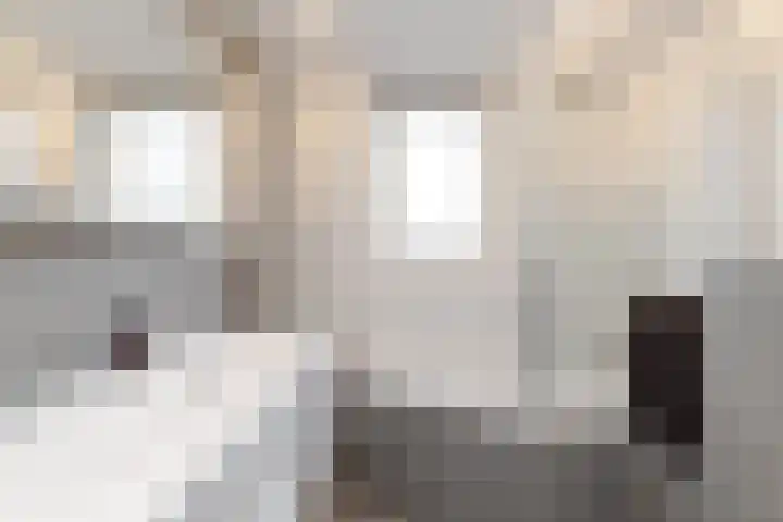 Starstraat 4 Rotterdam thumbnail 26