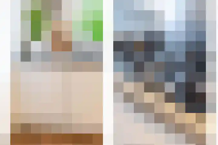 Starstraat 4 Rotterdam thumbnail 9