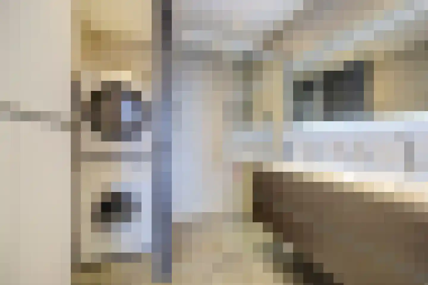 Starstraat 71 Rotterdam thumbnail 28