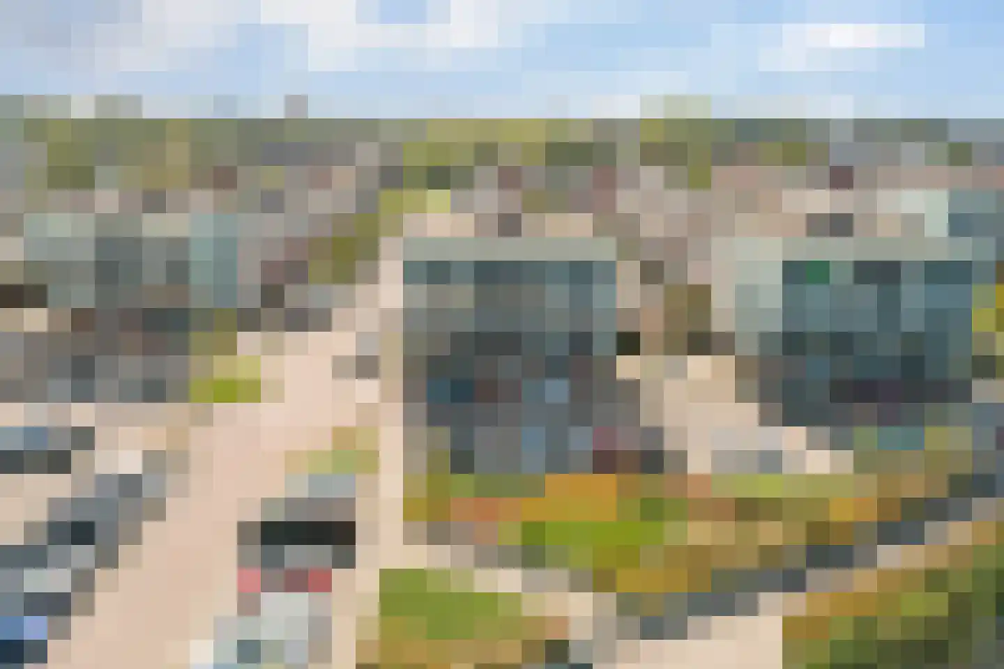 Starstraat 71 Rotterdam thumbnail 41