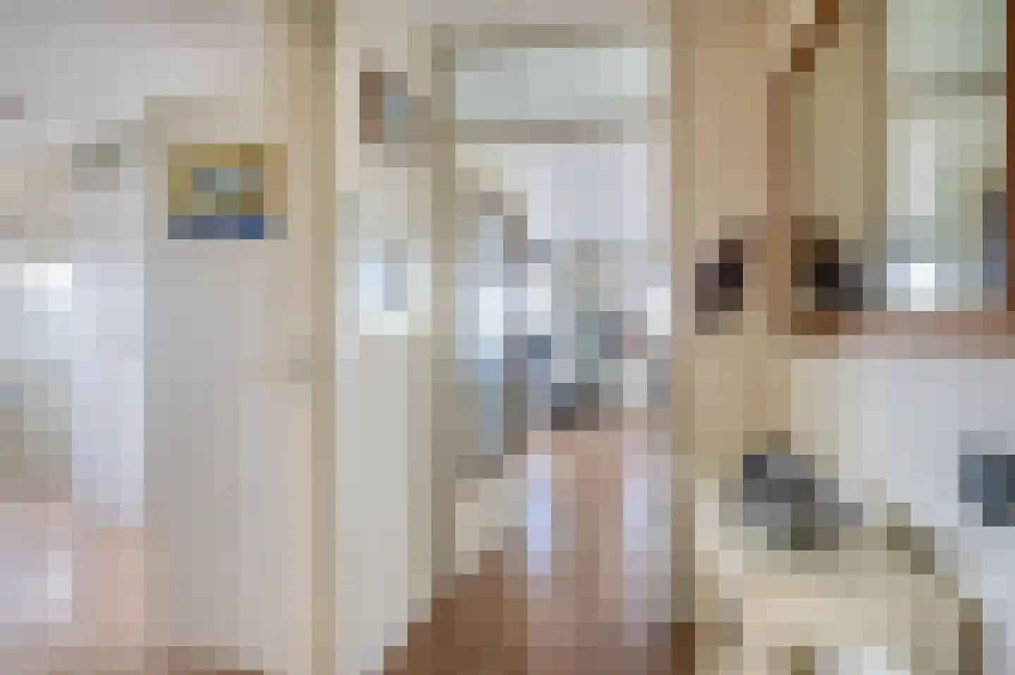 Starstraat 74 Rotterdam thumbnail 10