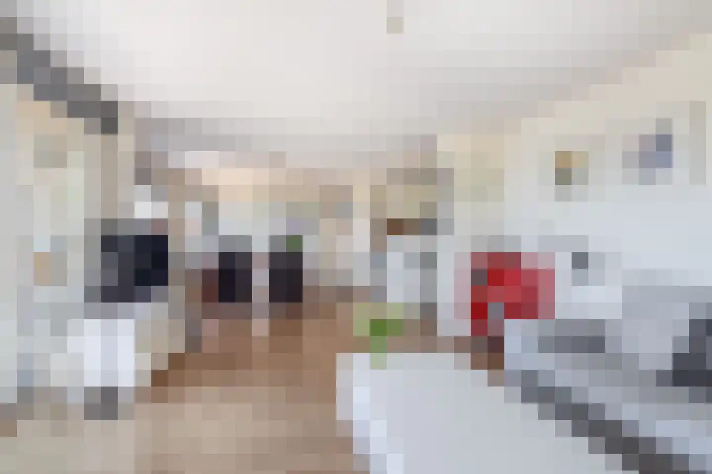 Starstraat 74 Rotterdam thumbnail 14