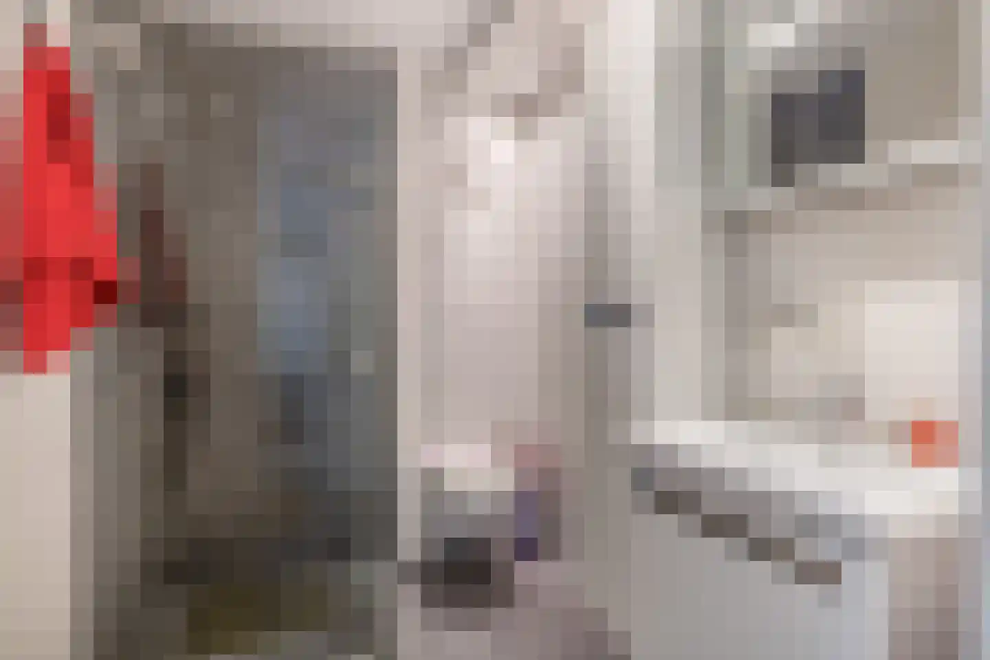 Starstraat 74 Rotterdam thumbnail 30