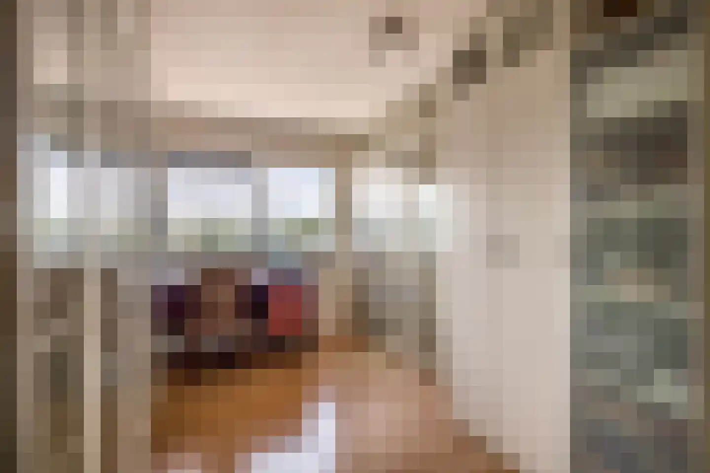 Starstraat 74 Rotterdam thumbnail 31
