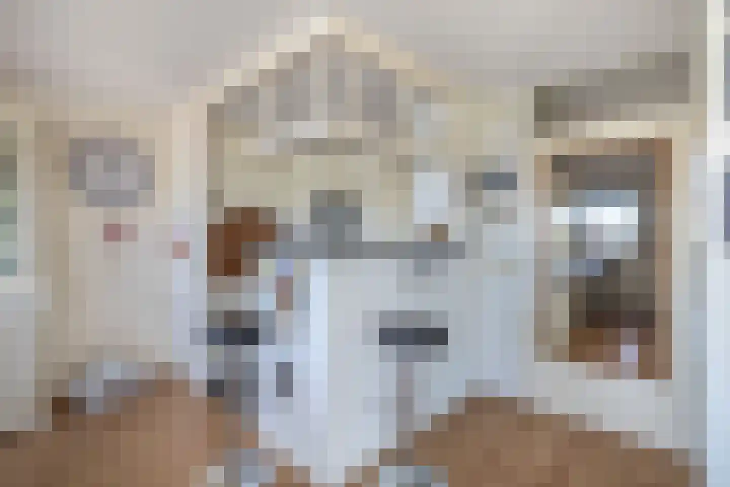 Starstraat 74 Rotterdam thumbnail 5