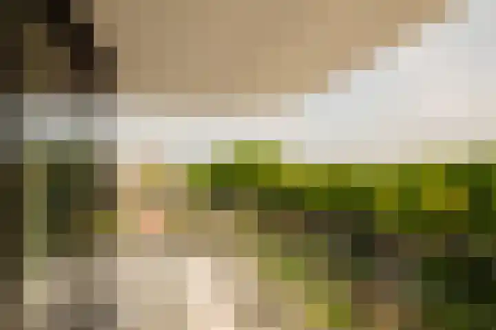 Startbaan 150 Amstelveen thumbnail 11