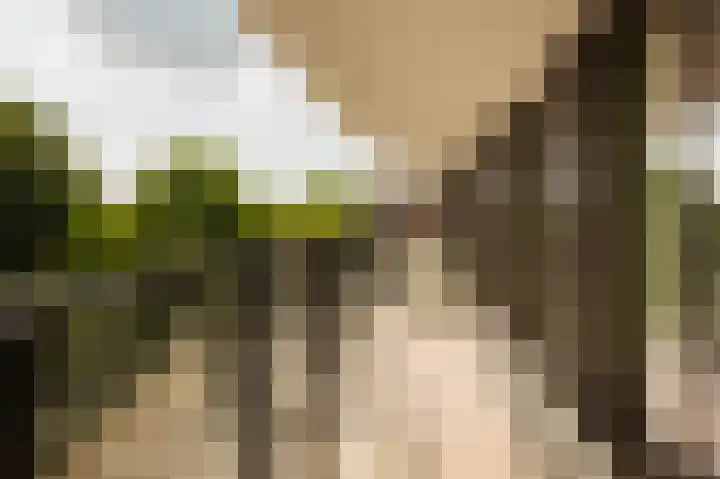 Startbaan 150 Amstelveen thumbnail 13
