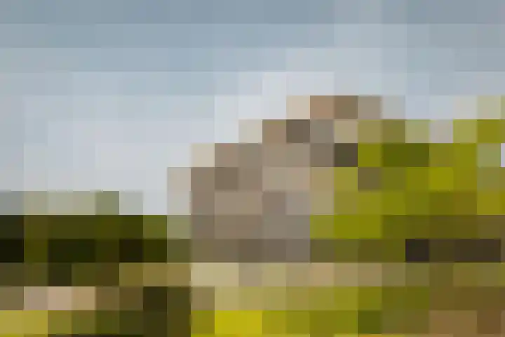 Startbaan 150 Amstelveen thumbnail 26