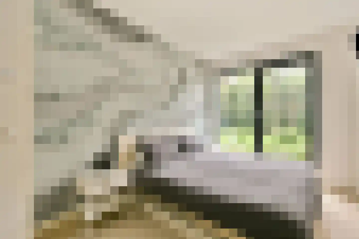 Startbaan 168 Amstelveen thumbnail 15