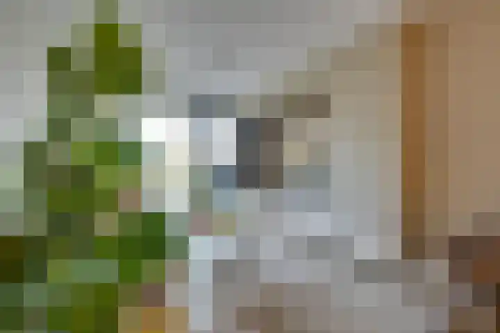 Startbaan 242 Amstelveen thumbnail 12