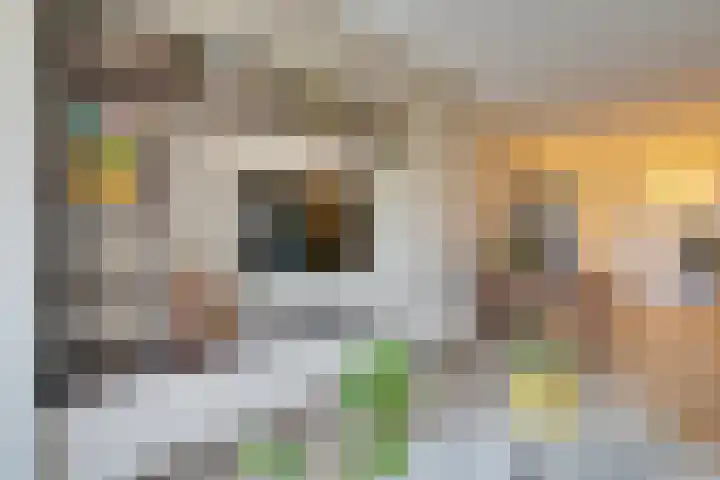 Startbaan 242 Amstelveen thumbnail 17