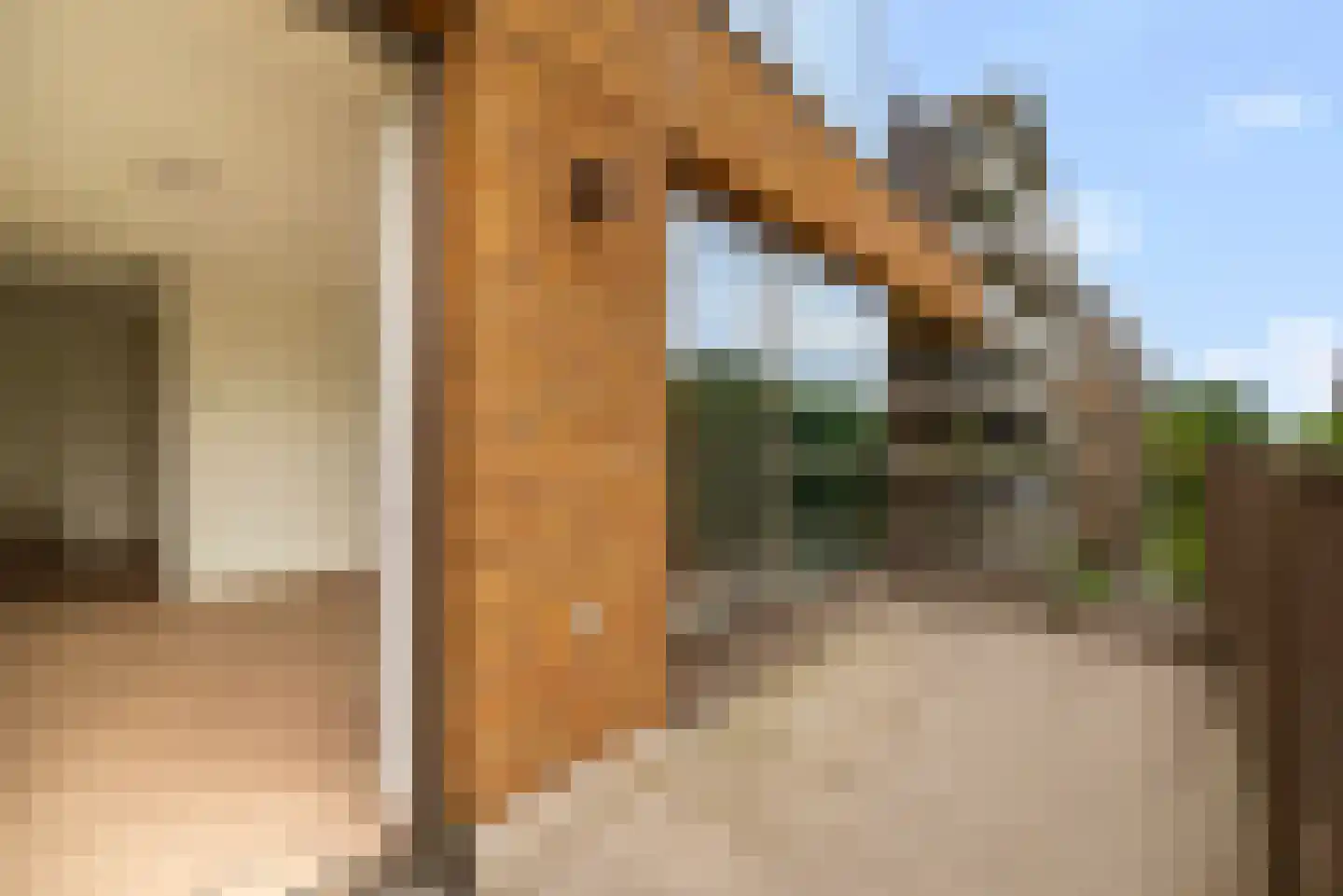 Startbaan 264 Amstelveen thumbnail 12