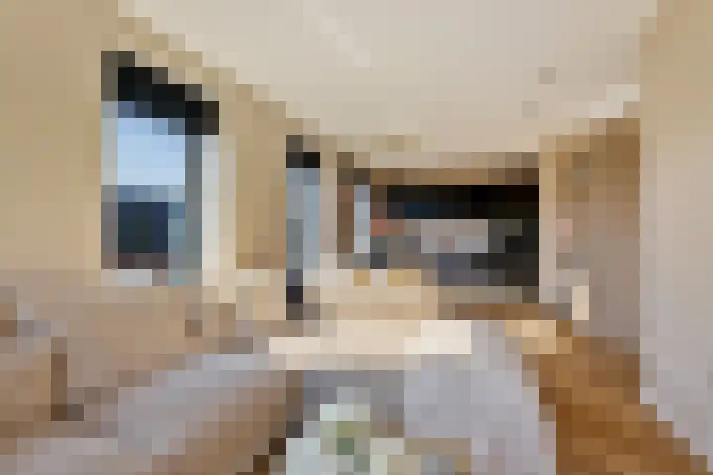 Startbaan 274 Amstelveen thumbnail 24