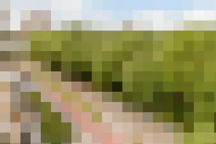 Startbaan 548 Amstelveen thumbnail 15