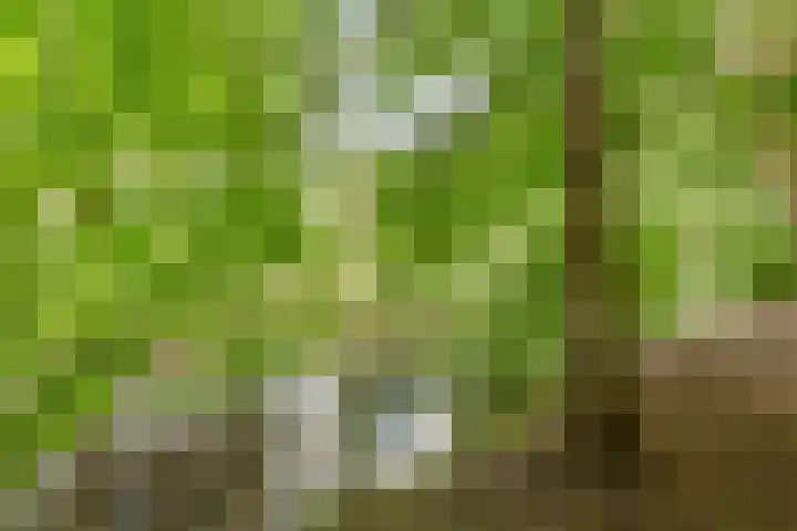 Startbaan 548 Amstelveen thumbnail 5