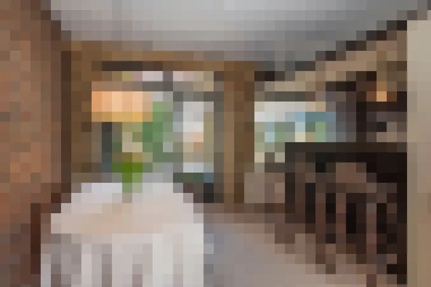 Starterstraat 19 Hengelo thumbnail 14