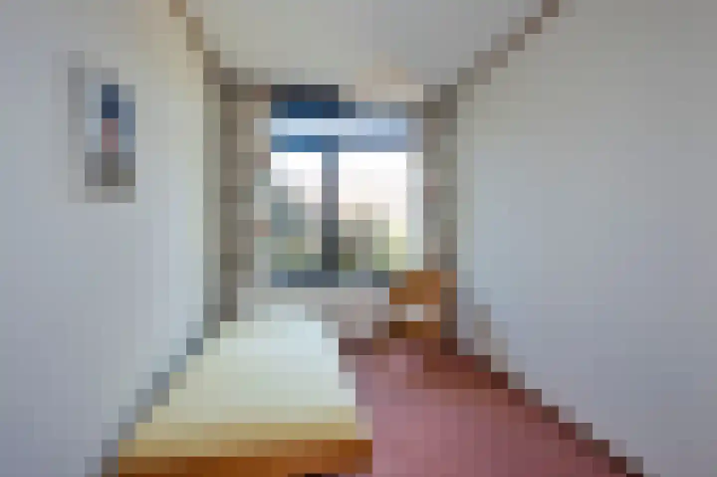 Starterstraat 19 Hengelo thumbnail 23