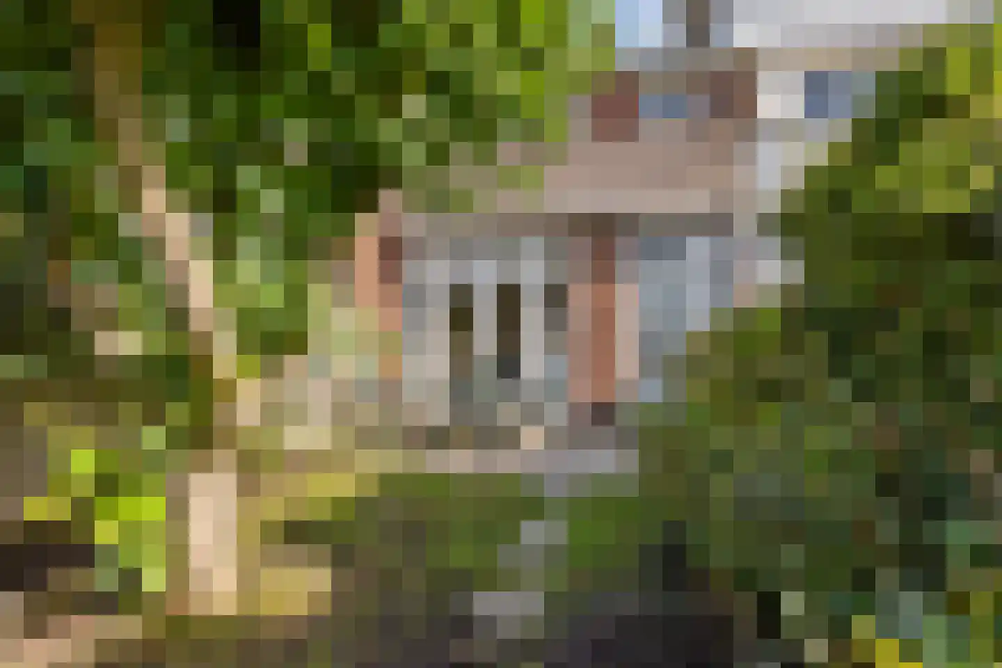 Starterstraat 35 Den Haag thumbnail 17