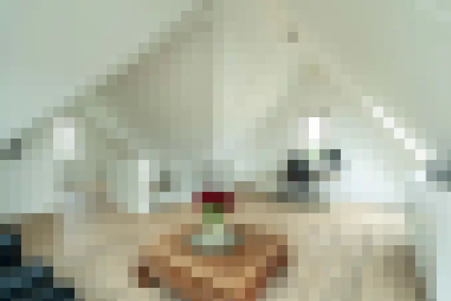 Startingerweg 31 d Akersloot thumbnail 26