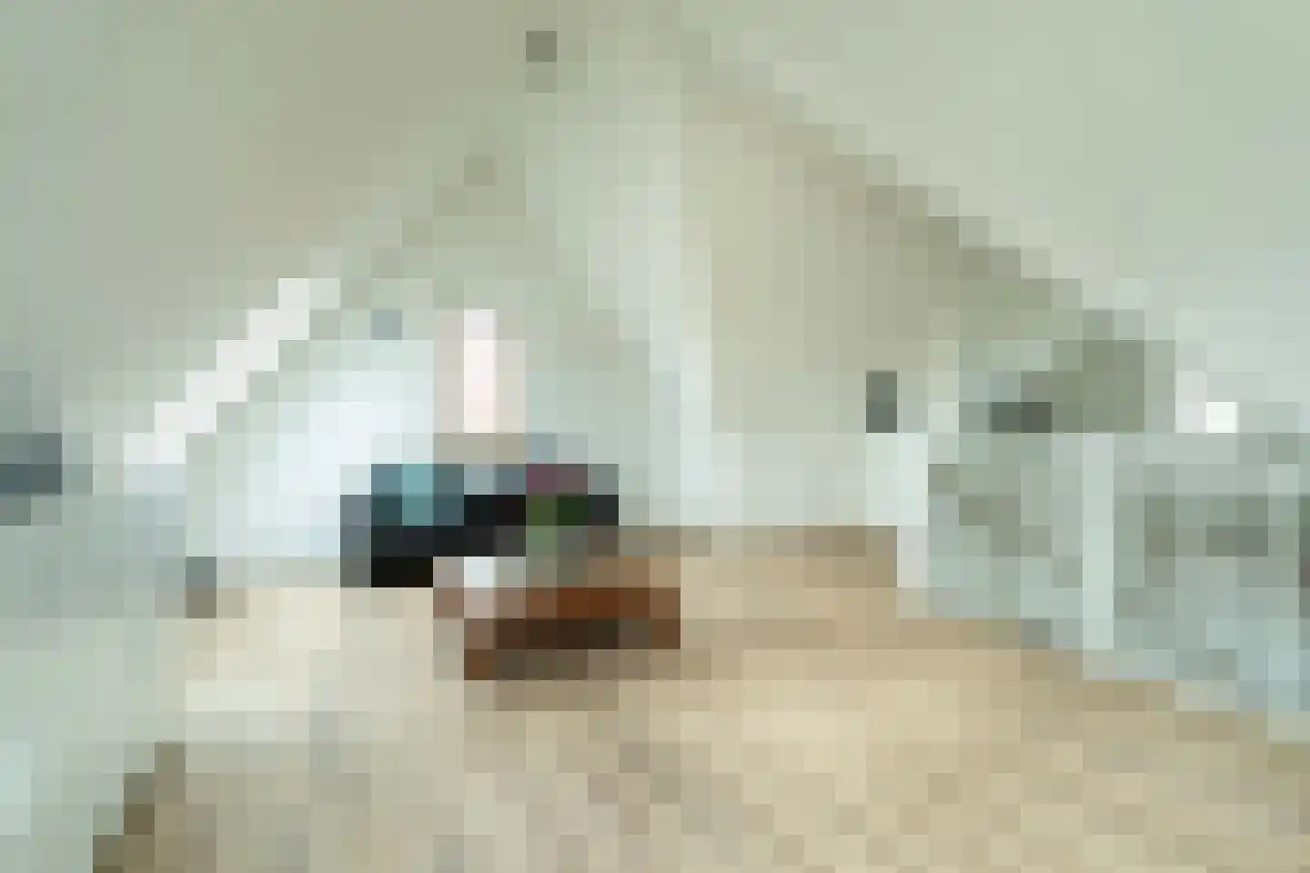 Startingerweg 31 d Akersloot thumbnail 27