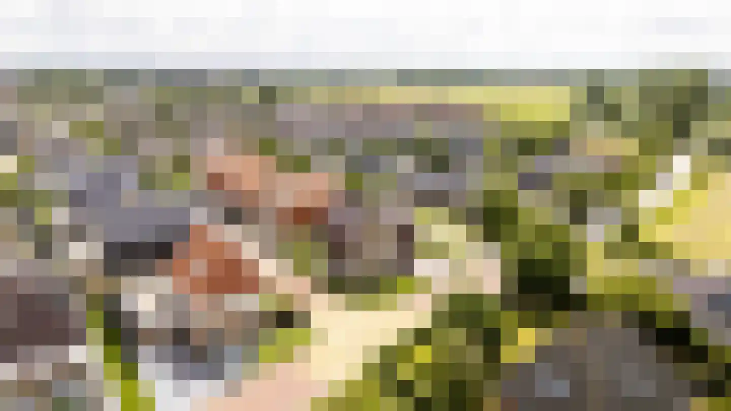Startingerweg 31 d Akersloot thumbnail 33