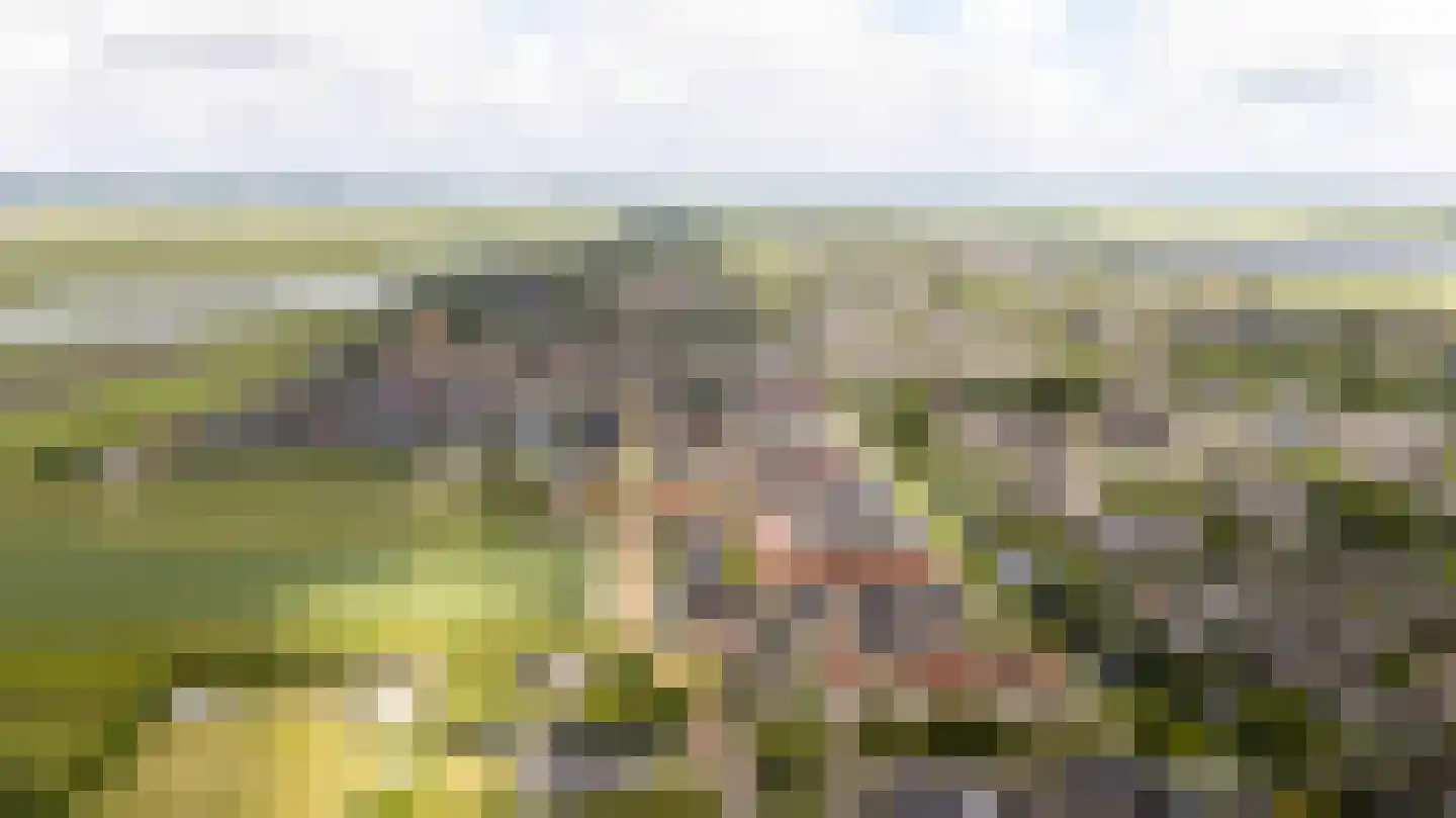 Startingerweg 31 d Akersloot thumbnail 35