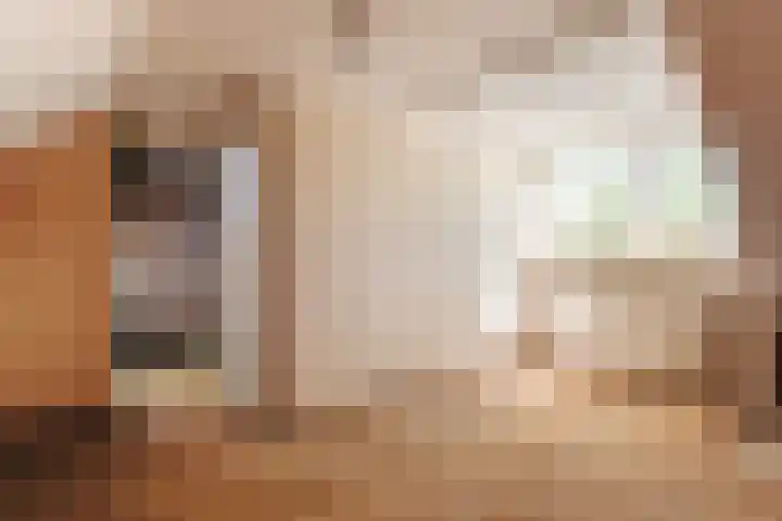 Startingerweg 5 Akersloot thumbnail 20