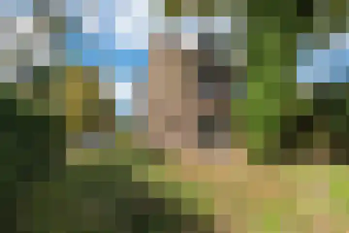 Startingerweg 5 Akersloot thumbnail 23