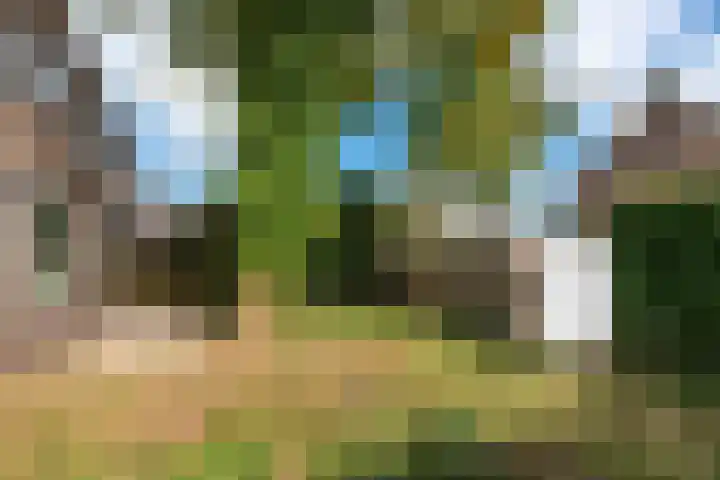 Startingerweg 5 Akersloot thumbnail 24
