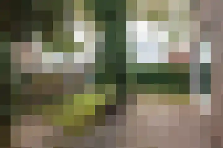 Startingerweg 5 Akersloot thumbnail 25