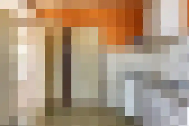 Startingerweg 5 Akersloot thumbnail 9