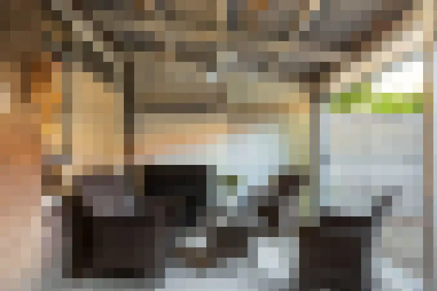 Startvenseweg 45 Wijchen thumbnail 14