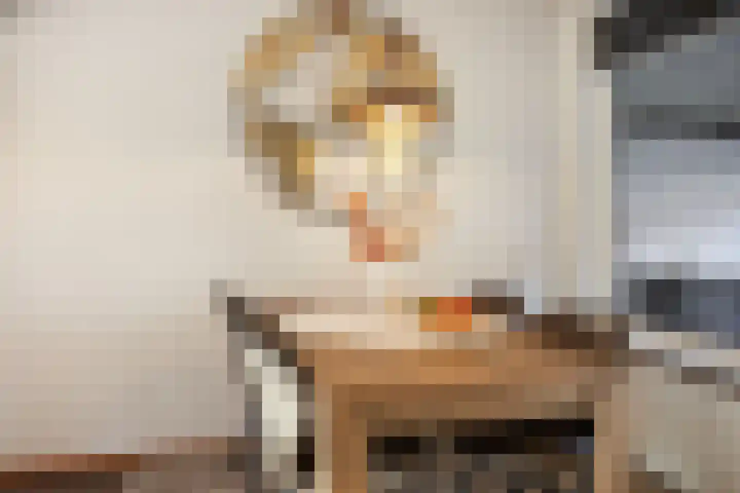 Startvenseweg 45 Wijchen thumbnail 4