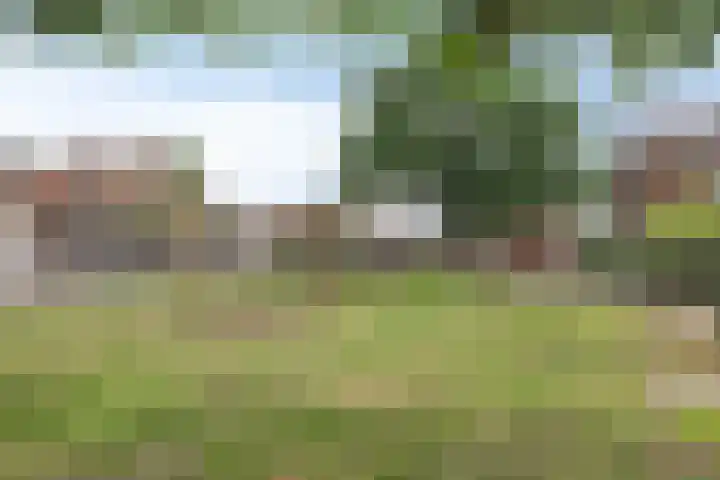 Startvenseweg 97 Wijchen thumbnail 26