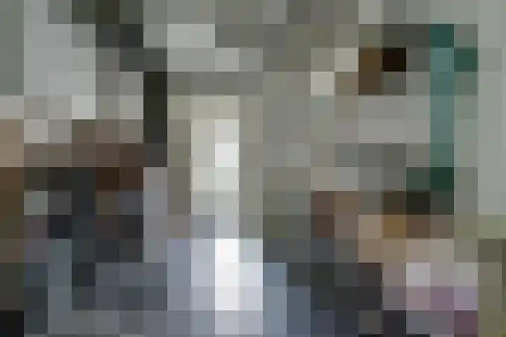 Startvenseweg 99 Wijchen thumbnail 15