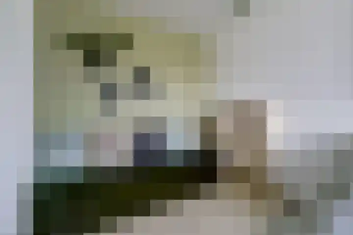 Startvenseweg 99 Wijchen thumbnail 26