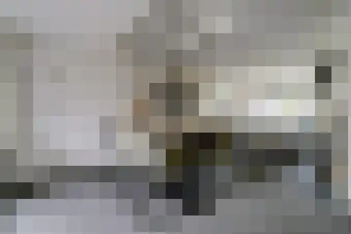 Startvenseweg 99 Wijchen thumbnail 5