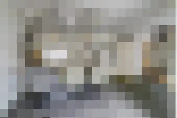 Startvenseweg 99 Wijchen thumbnail 6