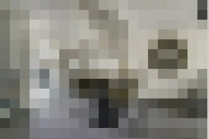 Startvenseweg 99 Wijchen thumbnail 7
