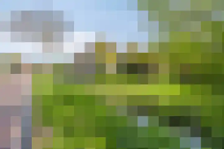 Stasjonsleane 8 Oudega