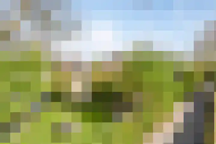 Stasjonsleane 8 Oudega thumbnail 36