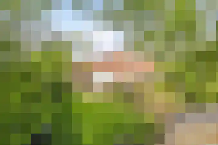 Stasjonsleane 8 Oudega thumbnail 37
