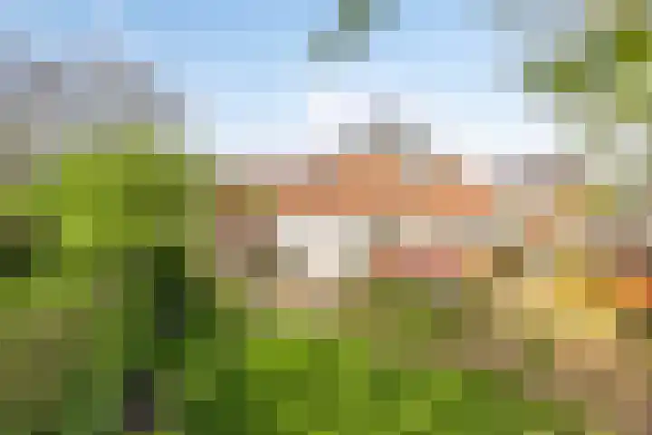 Stasjonsleane 8 Oudega thumbnail 38