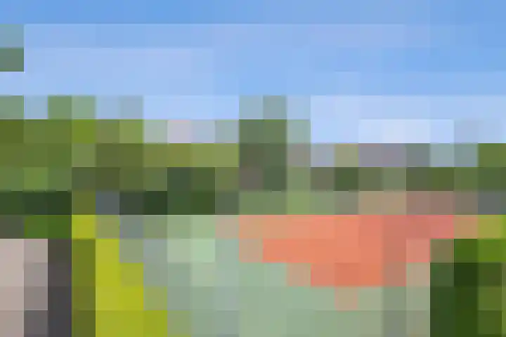 Stasjonsleane 8 Oudega thumbnail 40