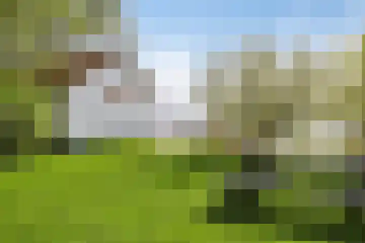 Stasjonsleane 8 Oudega thumbnail 46