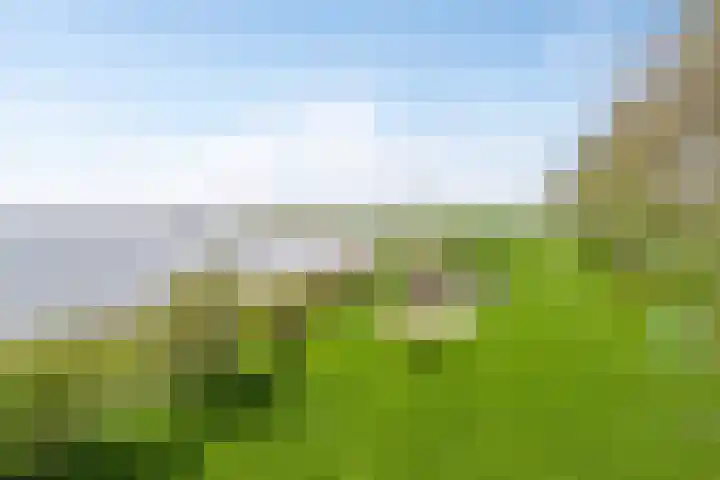 Stasjonsleane 8 Oudega thumbnail 48